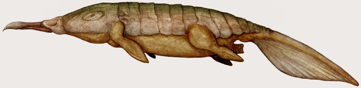 motosuchus