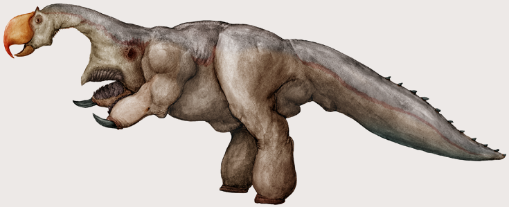 psittacocephalus