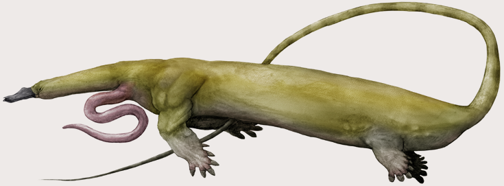 telescopocephalus