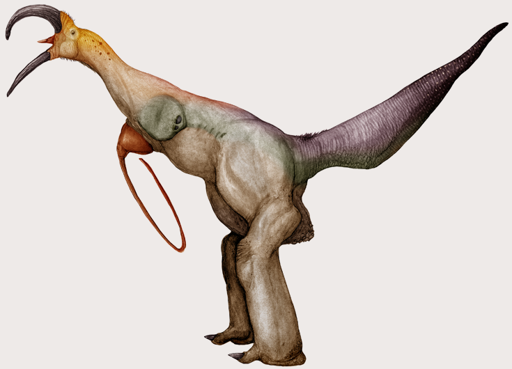 therizinorhynchus