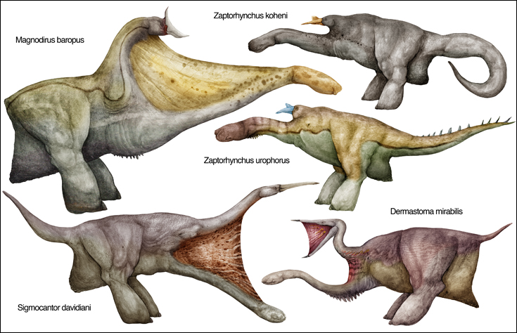 titaniformes